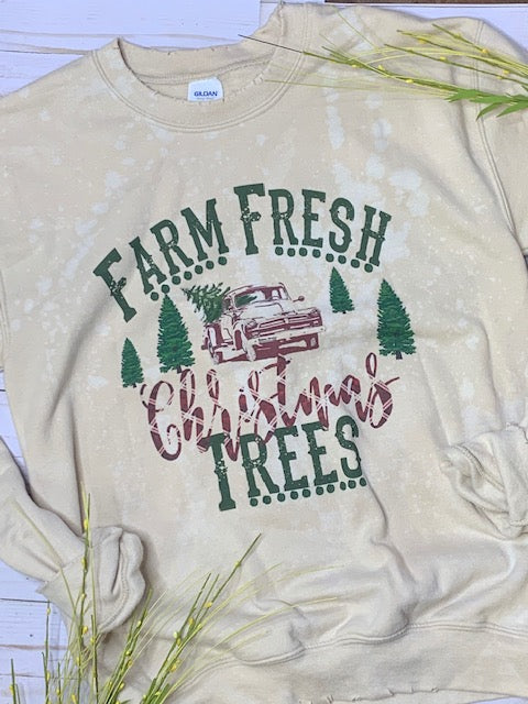 Farm Fresh Christmas trees