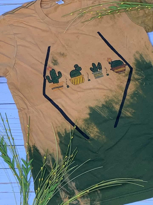 Potted cactus